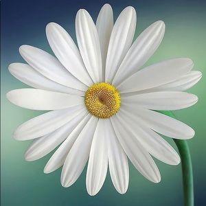 Meet your Posher, Haritha